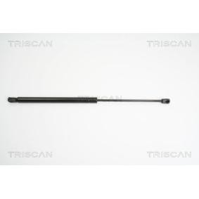 Heckklappendämpfer 8710 23213 von TRISCAN günstig für 37,14 € online kaufen