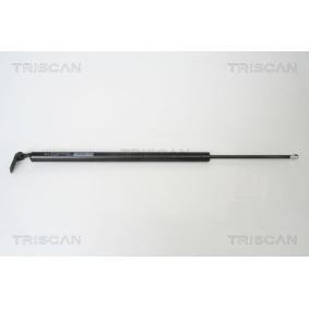 Acquista Pistoncini portellone da TRISCAN online per H-1 Pianale piatto/Telaio a prezzi moderati