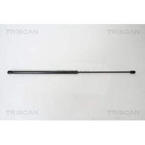 Motorhaubendämpfer 8710 67100 von TRISCAN günstig für 51,58 € online kaufen