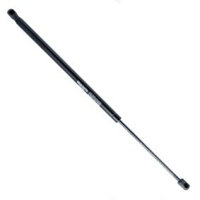 Heckklappendämpfer EP10005GS von EINPARTS günstig für 11,04 € online kaufen