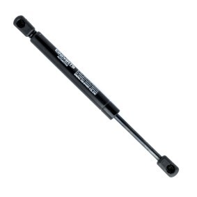 Heckklappendämpfer EP10082GS von EINPARTS günstig für 13,89 € online kaufen