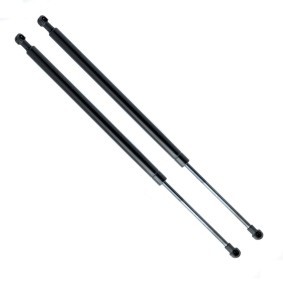 Heckklappendämpfer EP10507GS von EINPARTS günstig für 9,47 € online kaufen