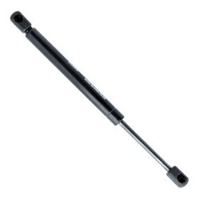 Heckklappendämpfer EP10508GS von EINPARTS günstig für 12,12 € online kaufen