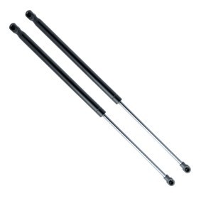 Heckklappendämpfer EP9252GS von EINPARTS günstig für 8,88 € online kaufen