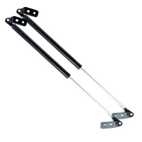 Heckklappendämpfer EP9992GS von EINPARTS günstig für 10,45 € online kaufen