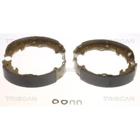 Bremsbackensatz, Feststellbremse 8100 68006 von TRISCAN günstig für 46,03 € online kaufen