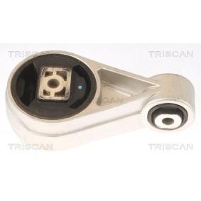 Motorlager von TRISCAN