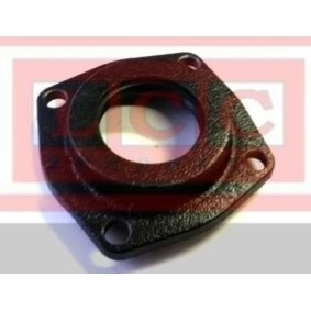 Wellendichtring, Differential für FIAT von LCC