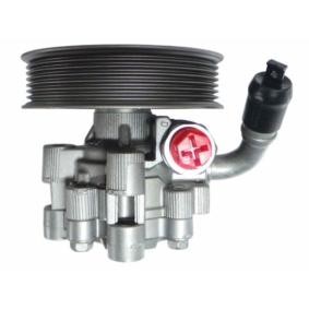 Compre Bomba de direção de SPIDAN online para 300 C Touring (LX, LE) a preços moderados
