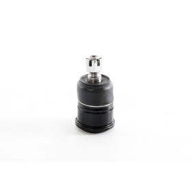 Traggelenk BSG 35-310-005 von BSG günstig für 36,58 € online kaufen