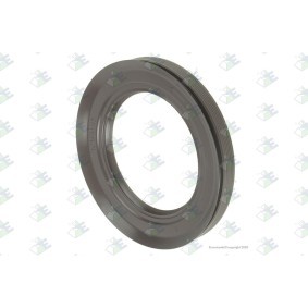 Wellendichtring, Differential für RENAULT TRUCKS von Euroricambi