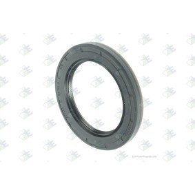 Wellendichtring, Schaltgetriebe 60531851 von Euroricambi günstig für 19,09 € online kaufen