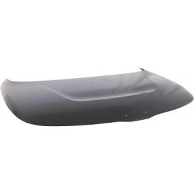 Compre Capô de DIEDERICHS online para SOUL III Cargo (SK3) a preços moderados