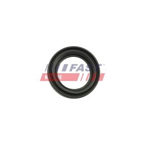 Acquista Kit di revisione della pinza freno da FAST FT32483 a buon mercato per soli 1,40 €