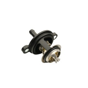 Acquista Termostato motore da FAST FT58038 a buon mercato per soli 21,00 €