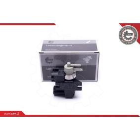 Acquista Convertitore pressione, Turbocompressore da ESEN SKV 14SKV919 a buon mercato per soli 48,36 €