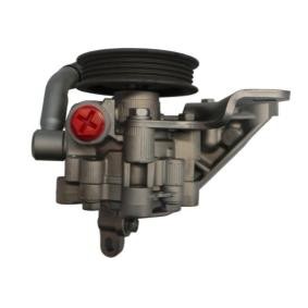 Compre Bomba de direção da SPIDAN 52864 a um preço baixo por 374,52 €