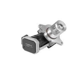 AGR Ventil des Herstellers BTS TURBO - Originalware Artikelnummer: A100031