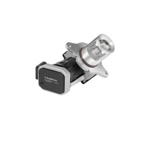 AGR-Ventil A100033 von BTS TURBO günstig für 224,53 € online kaufen