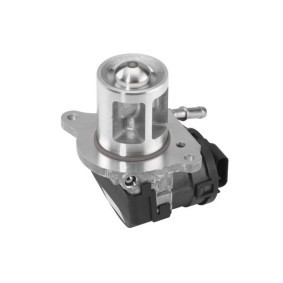 AGR-Ventil A100038 von BTS TURBO günstig für 210,47 € online kaufen