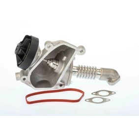 AGR-Ventil A100081 von BTS TURBO günstig für 129,39 € online kaufen