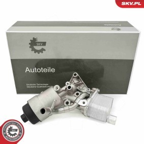 Compre Caixa, filtro de óleo da ESEN SKV 31SKV234 a um preço baixo por 103,77 €