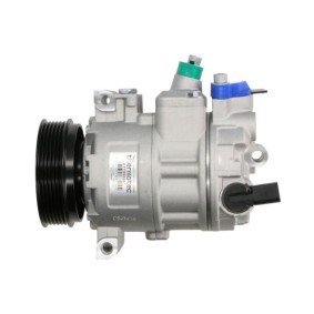 Achetez des Compresseur de climatisation de chez THERMOTEC en ligne pour Amarok Camion plate-forme/Châssis (S1B, S6B, S7B) à prix modérés