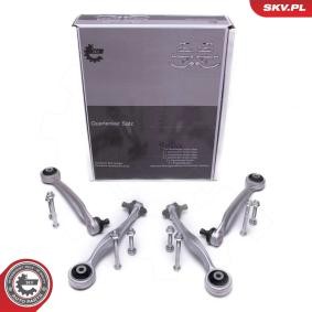 Compre Jogo de braços oscilantes, suspensão de rodas da ESEN SKV 04SKV770 a um preço baixo por 62,21 €