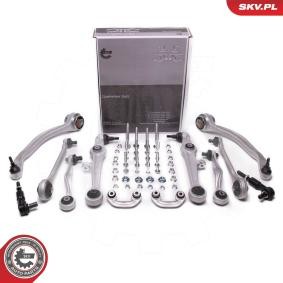 Compre Jogo de braços oscilantes, suspensão de rodas da ESEN SKV 04SKV910 a um preço baixo por 329,54 €