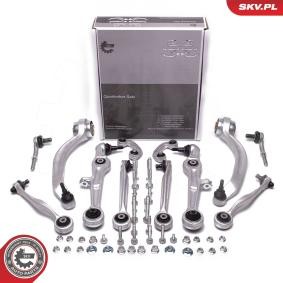 Compre Jogo de braços oscilantes, suspensão de rodas da ESEN SKV 04SKV920 a um preço baixo por 299,33 €