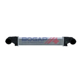 Ladeluftkühler C4220116 von BOGAP günstig für 132,06 € online kaufen