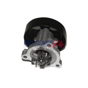 Wasserpumpe N4234105 von BOGAP günstig für 41,17 € online kaufen
