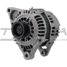 Kjøp Dynamo av TESLA TECHNICS TT11762 PRO til den lave prisen 2225,33 NOK