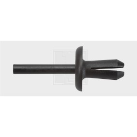 Clip, Zier- / Schutzleiste 50092216 von SWGAutomotive günstig für 8,96 € online kaufen