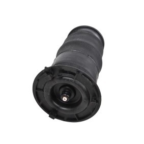 Luftfeder, Fahrwerk 11052-01-5532 von MiesslerAutomotive günstig für 181,57 € online kaufen