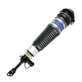 Luftfederbein 1130-01-40AA von MiesslerAutomotive günstig für 561,50 € online kaufen