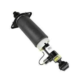 Luftfederbein 1145-01-051A von MiesslerAutomotive günstig für 433,67 € online kaufen