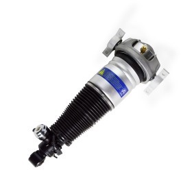 Luftfederbein 1163-01-3420 von MiesslerAutomotive günstig für 687,74 € online kaufen