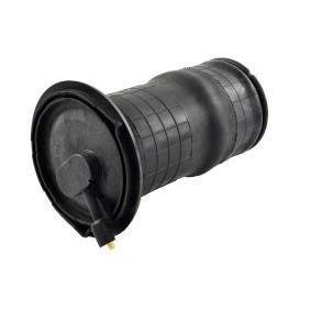 Luftfeder, Fahrwerk 1261-01-1460 von MiesslerAutomotive günstig für 124,53 € online kaufen