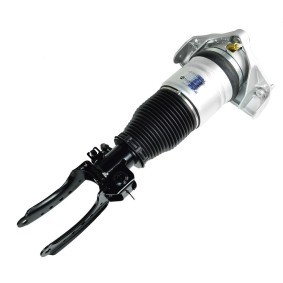 Luftfederbein 1272-01-4000 von MiesslerAutomotive günstig für 949,02 € online kaufen
