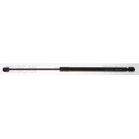 Heckklappendämpfer 8710 23312 von TRISCAN günstig für 20,53 € online kaufen