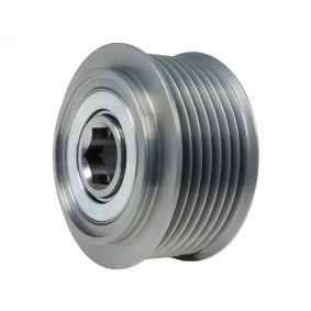 Generatorfreilauf AFP5054S von AS-PL günstig für 20,93 € online kaufen