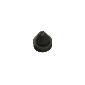 Lagerung, Kühler FT55811 von FAST günstig für 2,36 € online kaufen