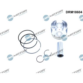 Kolben DRM18604 von DR.MOTOR AUTOMOTIVE günstig für 124,18 € online kaufen