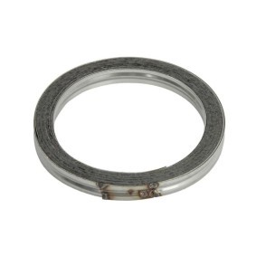 Comprar Juego de juntas, sistema de escape de 4MAX 0219-06-0002P a bajo precio de 1,83 €