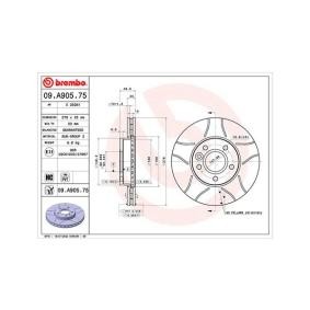 Bremsscheibe 360406176305 von MAGNETI MARELLI günstig für 155,13 € online kaufen