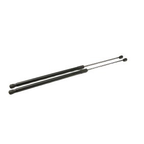 Comprar Amortiguador de maletero de FAST FT94805K a bajo precio de 14,36 €