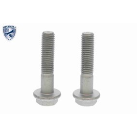 Achetez des Turbocompresseur VAICO V95-0110 à prix pour 2262,42 €