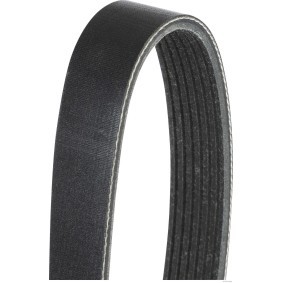 Compre Correia do alternador de HERTH+BUSS JAKOPARTS online para Townstar MPV (XFK) a preços moderados