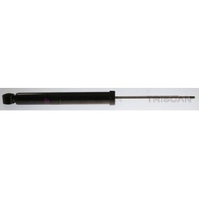 Compre Amortecedor da TRISCAN 8705 82106 a um preço baixo por 161,12 €